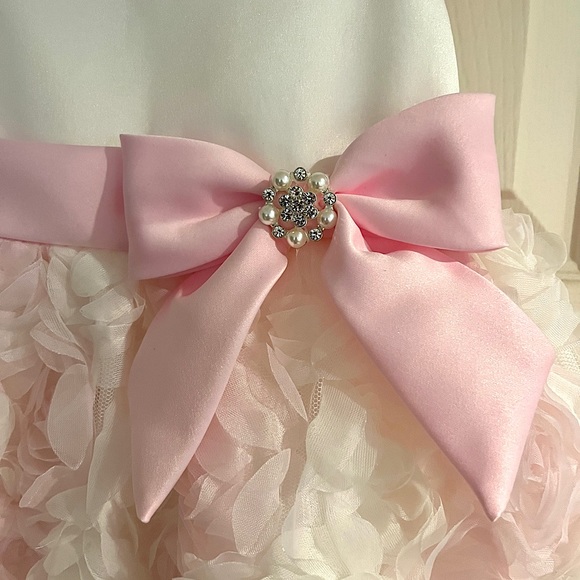 Rare Editions Girls 2/3T Satin Bodice with Floral Soutache Skirt Dress - Picture 4 of 5